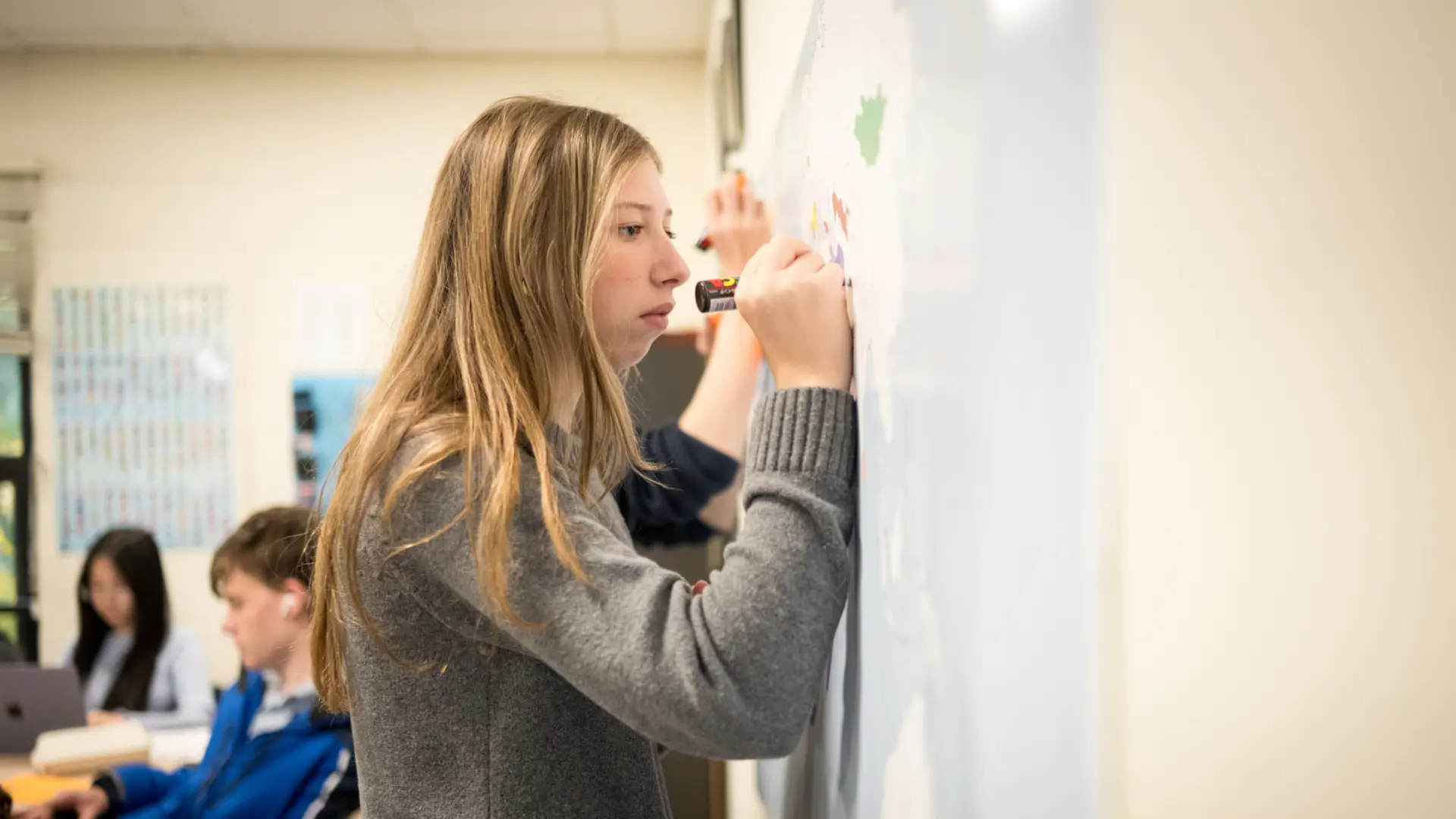  OptimizedImage,,,Optimized