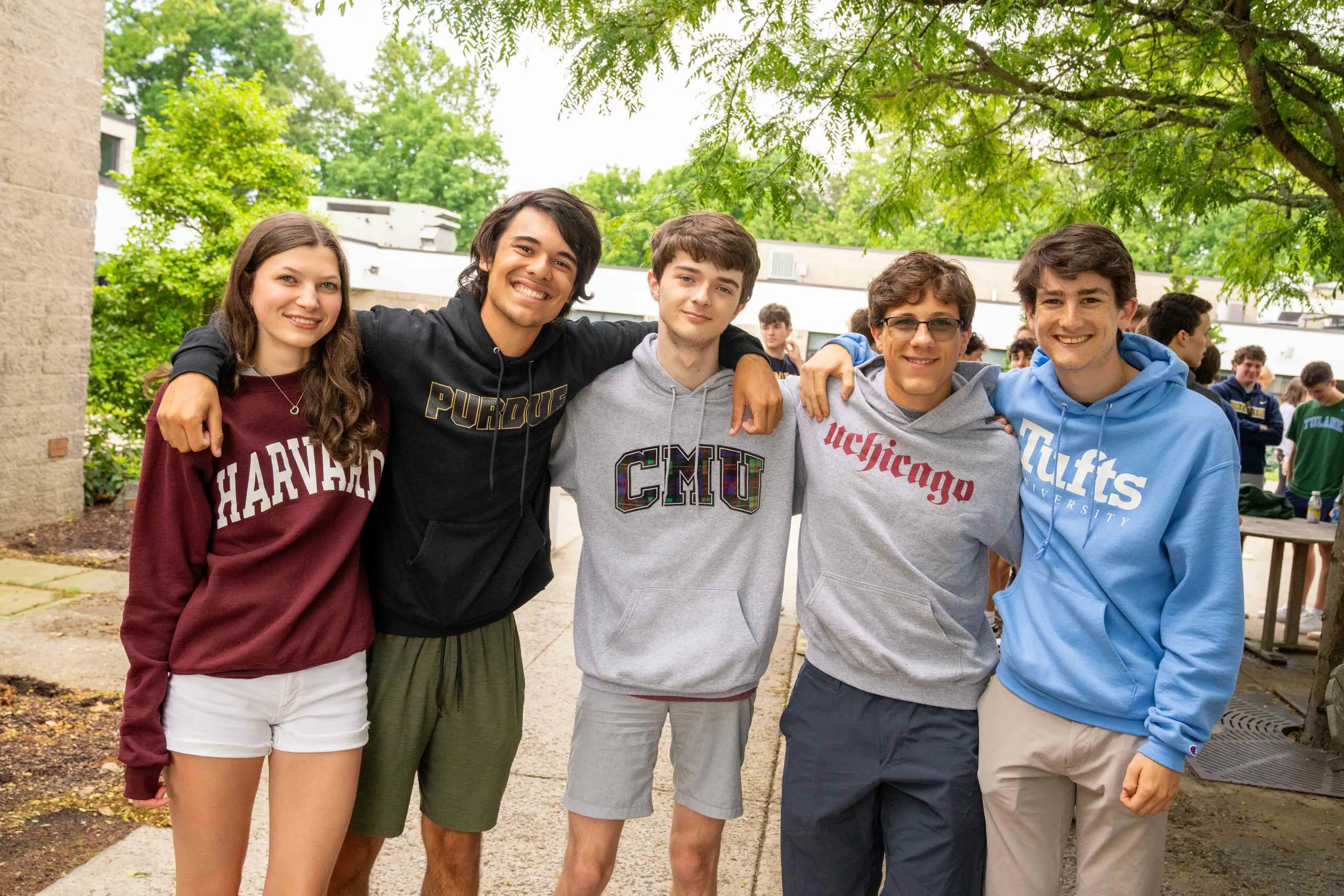  OptimizedImage,Optimized