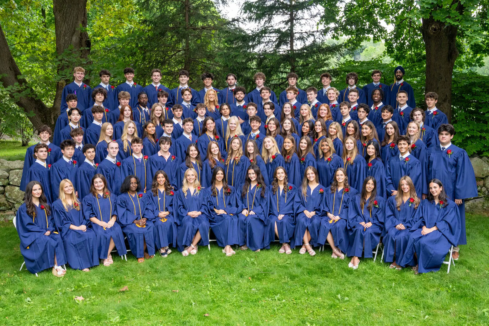 OptimizedImage,,,Optimized