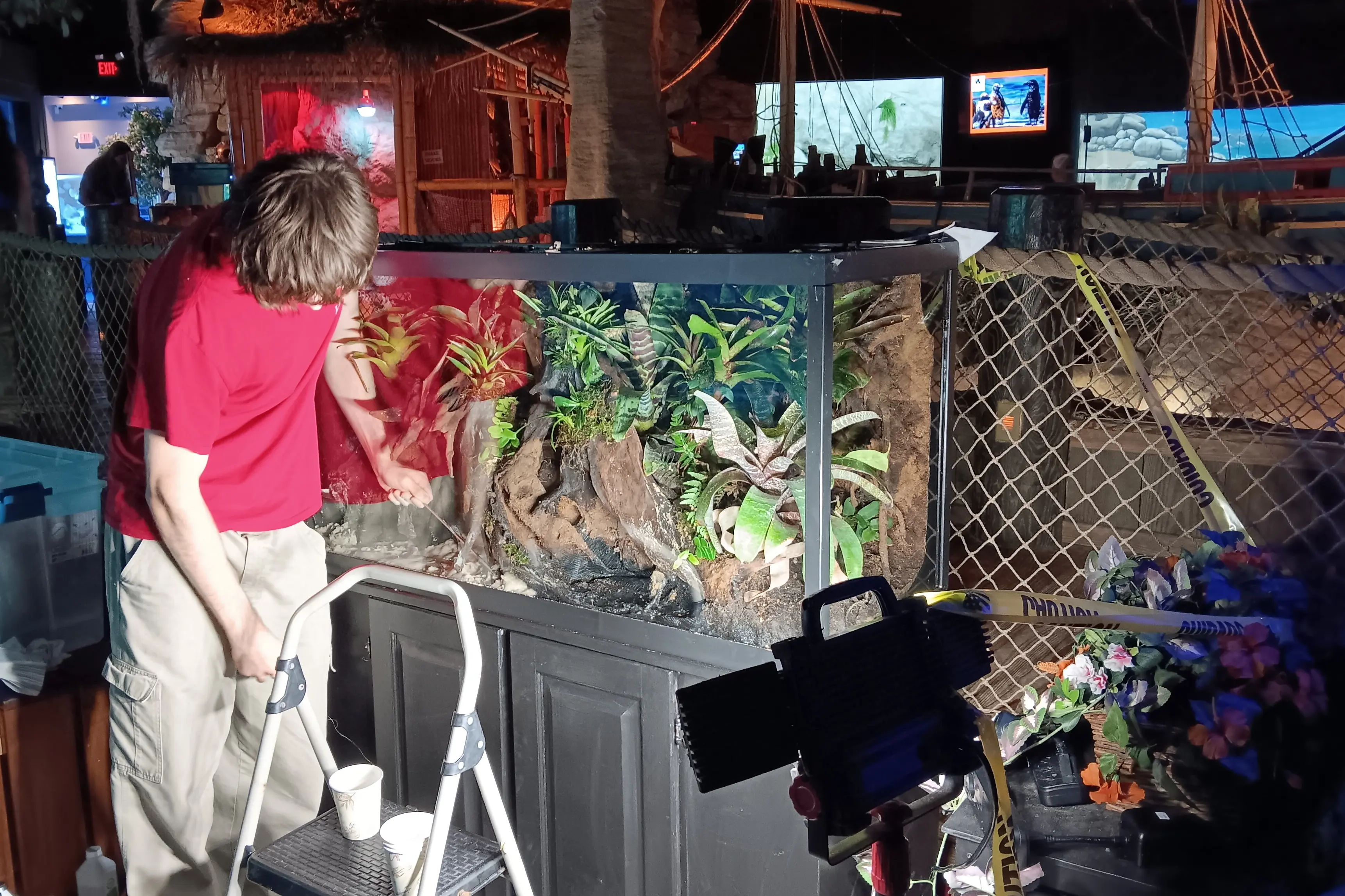 King’s Frog Project Begins Expansion Into Zoos Across the U.S.