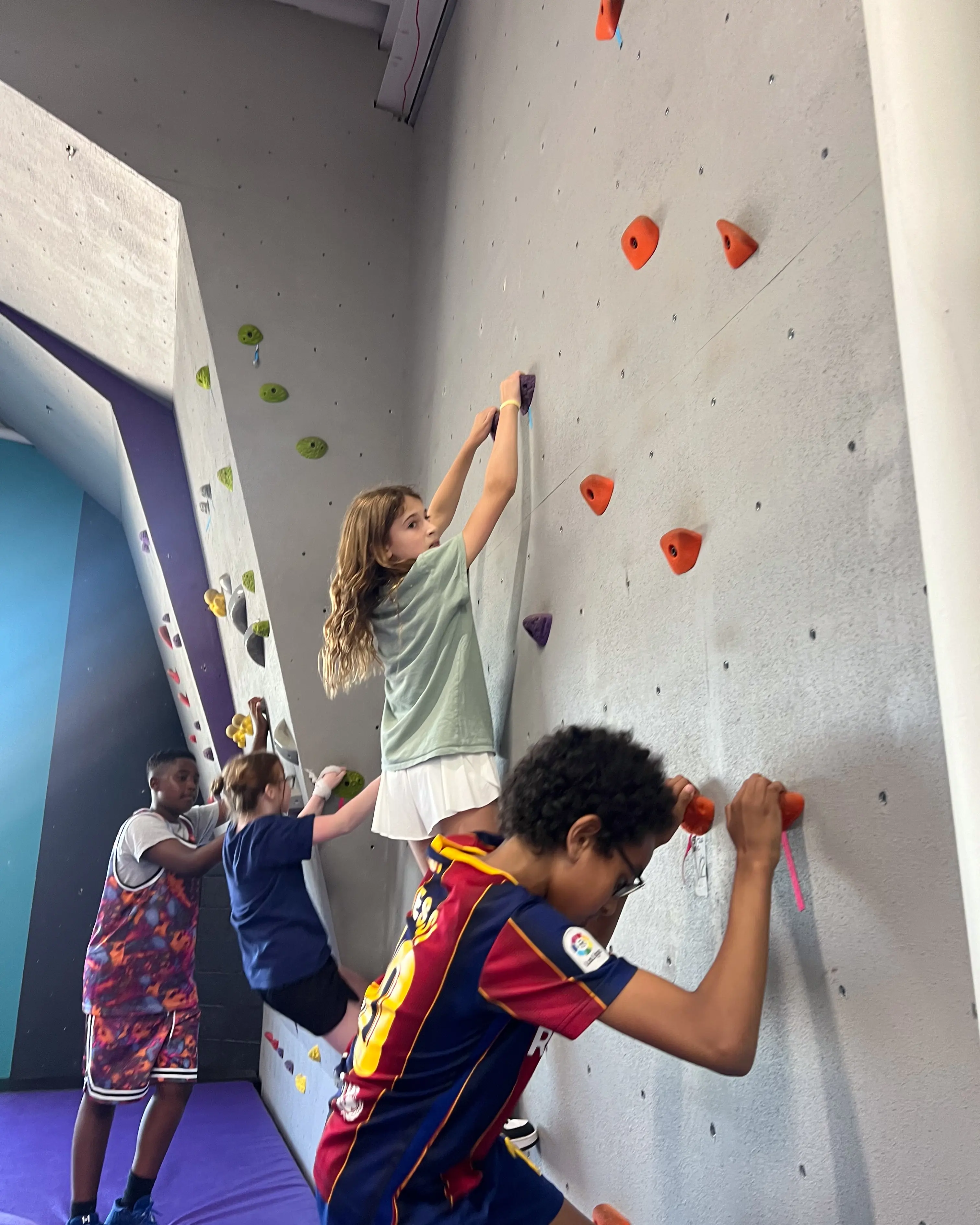 OptimizedImage,,,Optimized