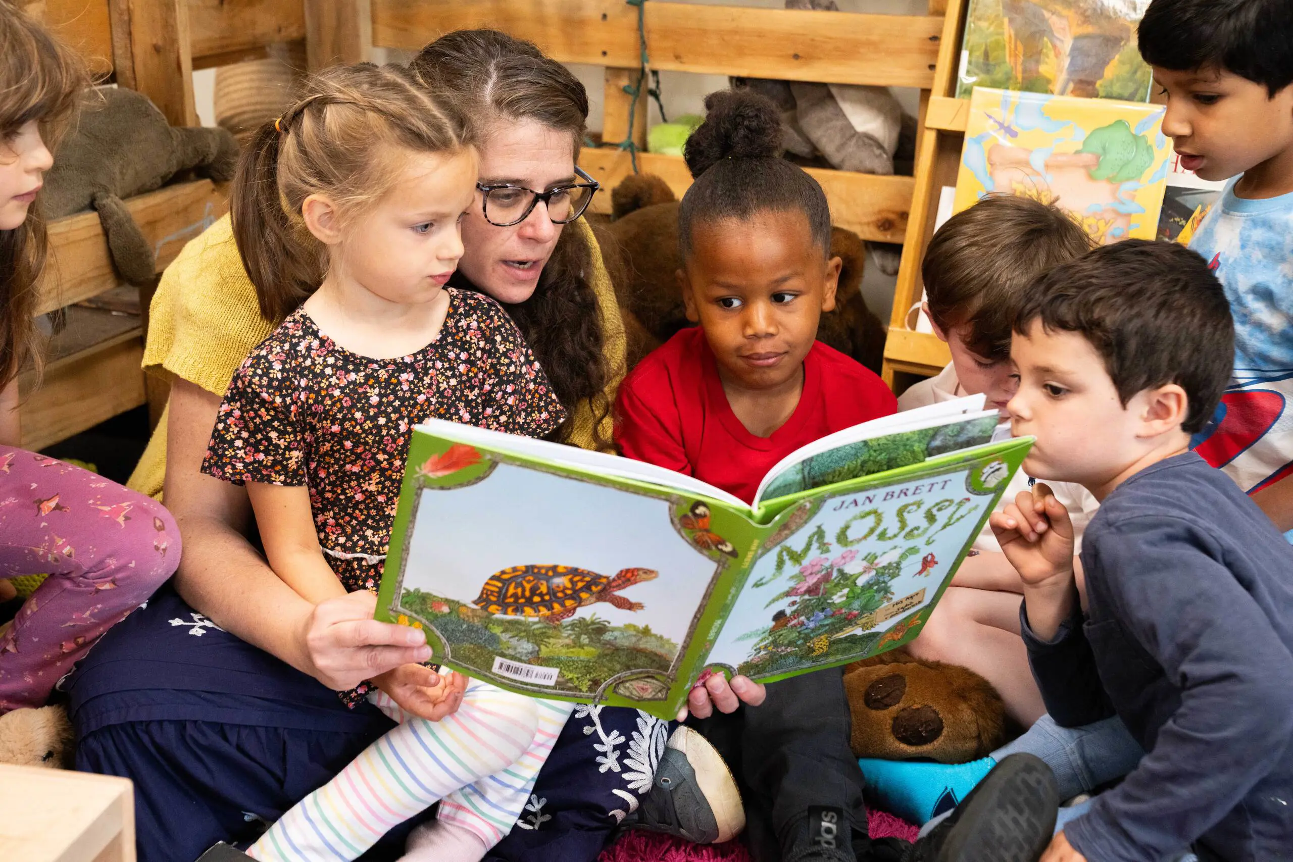  OptimizedImage,Optimized