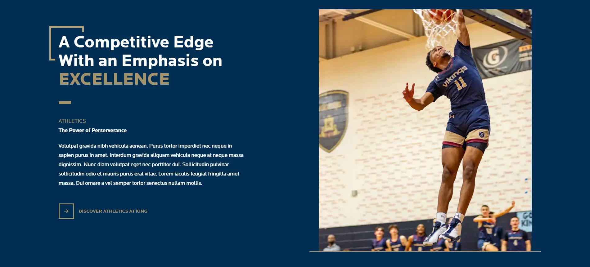 OptimizedImage,Optimized