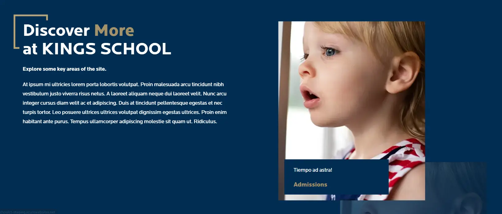 OptimizedImage,Optimized