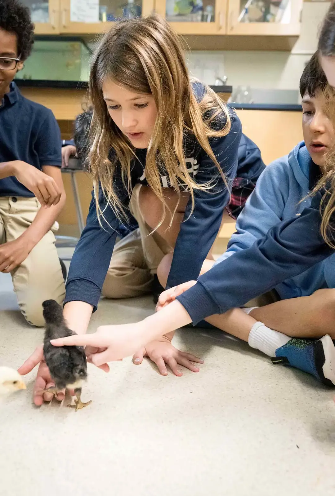 King School students holding chicks in a lesson.