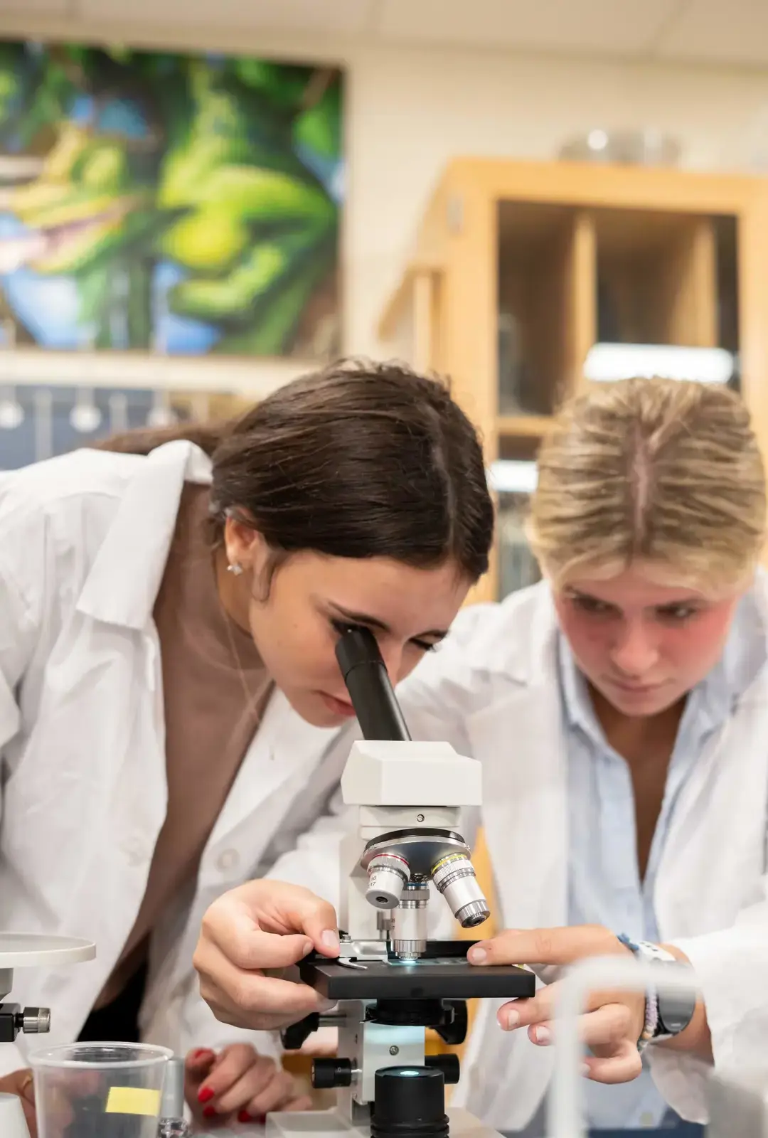 Content Framed Portrait