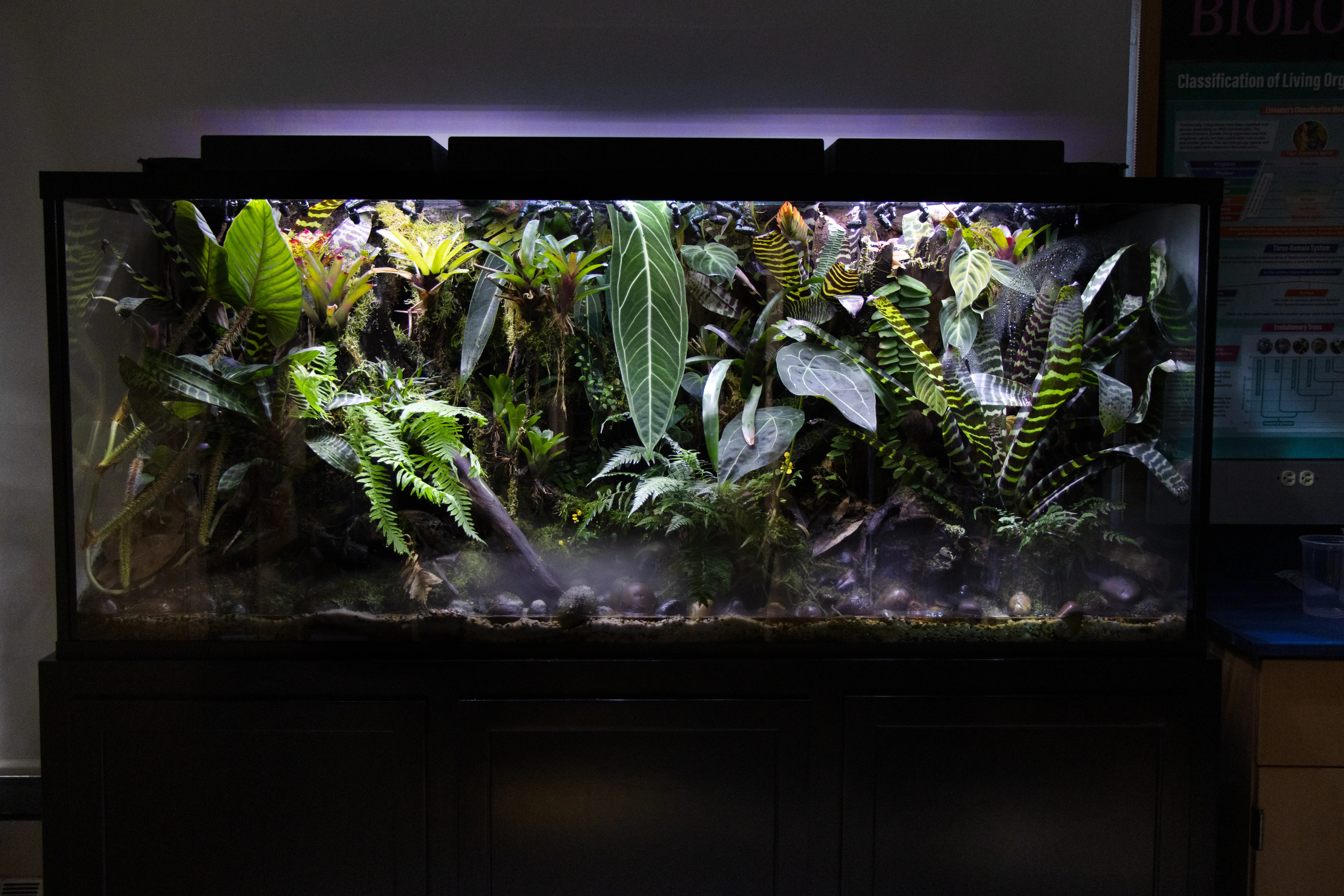  OptimizedImage,,,Optimized