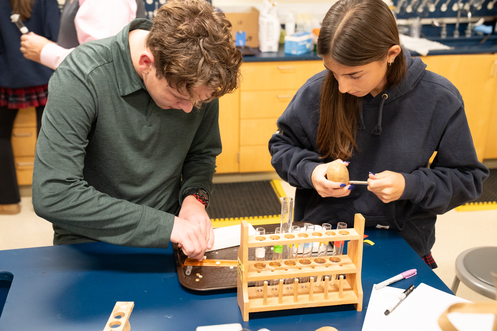 OriginalImage,,,Original