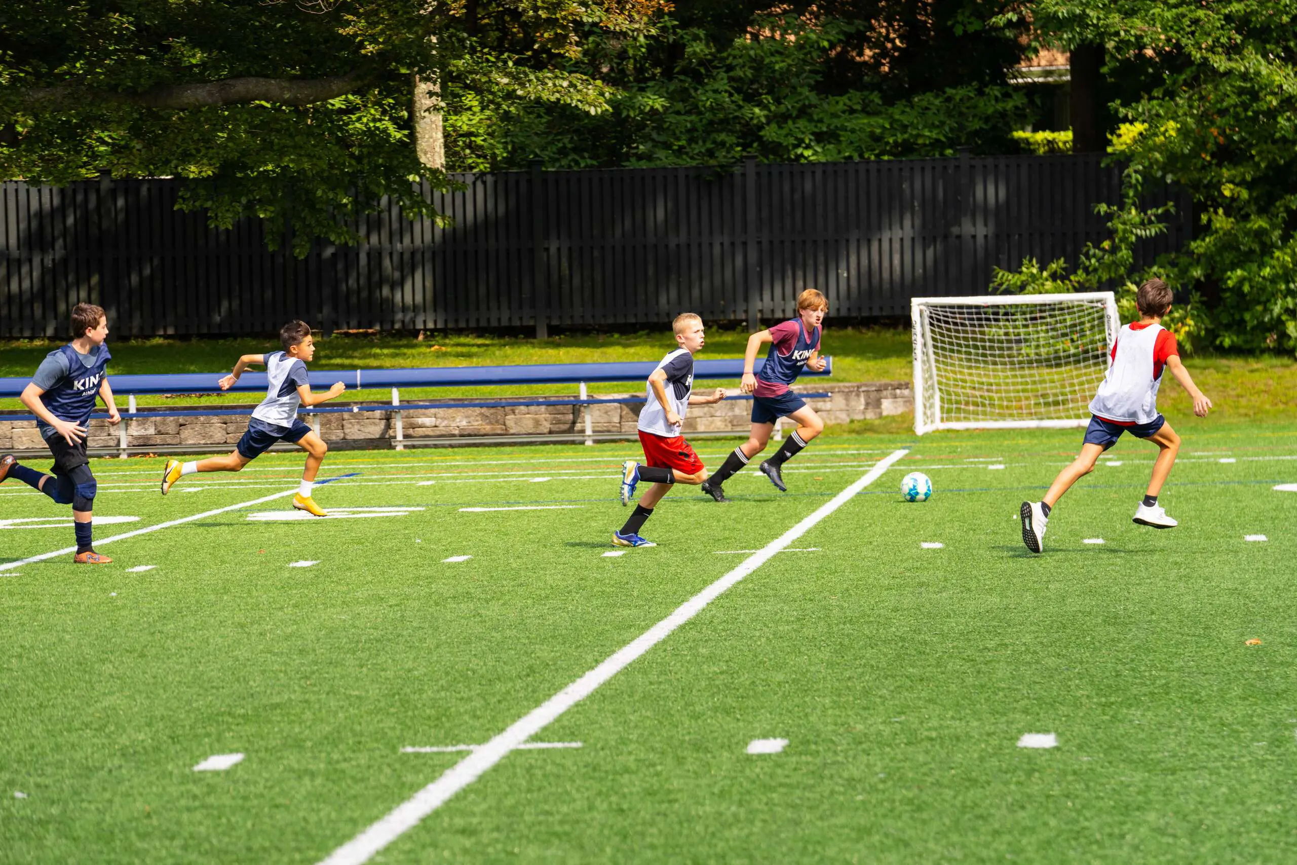 OptimizedImage,Optimized