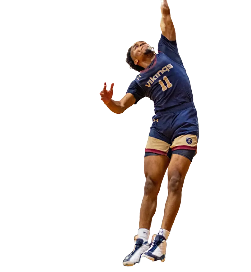  OptimizedImage,Optimized